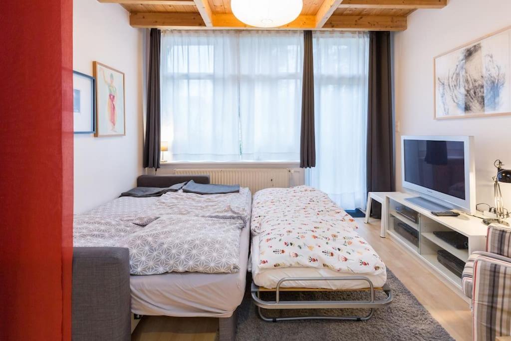 Apartment Wilhelmstr Fuer Bis Zu 3 Personen Brühl Εξωτερικό φωτογραφία