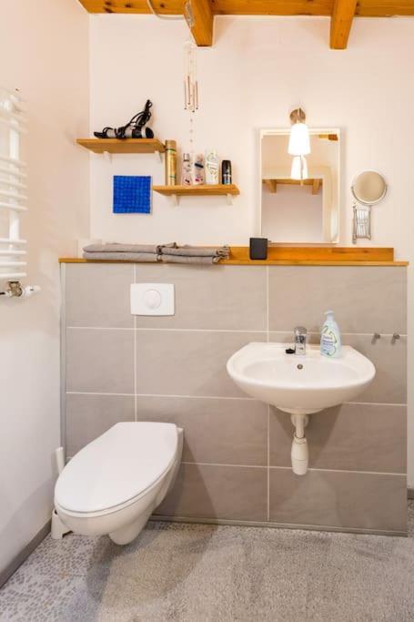 Apartment Wilhelmstr Fuer Bis Zu 3 Personen Brühl Εξωτερικό φωτογραφία