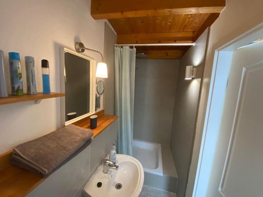 Apartment Wilhelmstr Fuer Bis Zu 3 Personen Brühl Εξωτερικό φωτογραφία